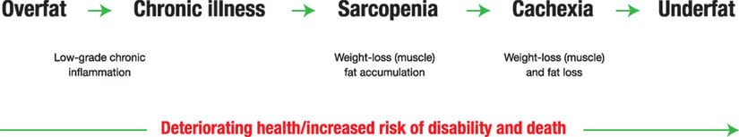 consequences of overfat