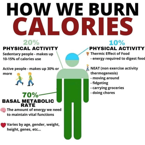 how body burns fat