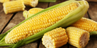 processed corn