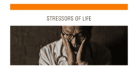 stressors of life