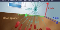 Blood Analysis Techniques: From Traditional To Cutting-Edge