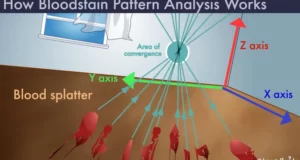 Blood Analysis Techniques: From Traditional To Cutting-Edge