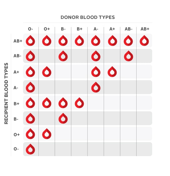 Blood Types And Compatibility: Crucial Factors In Transplants