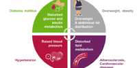 Diabetes Types And Metabolic Disorders Explained