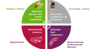 Diabetes Types And Metabolic Disorders Explained