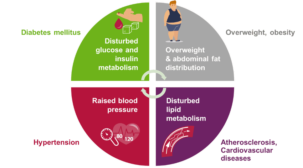 Diabetes Types And Metabolic Disorders Explained
