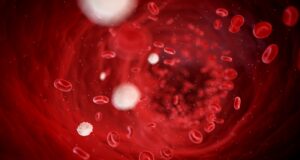 Exploring Rare Blood Disorders: What You Need To Know