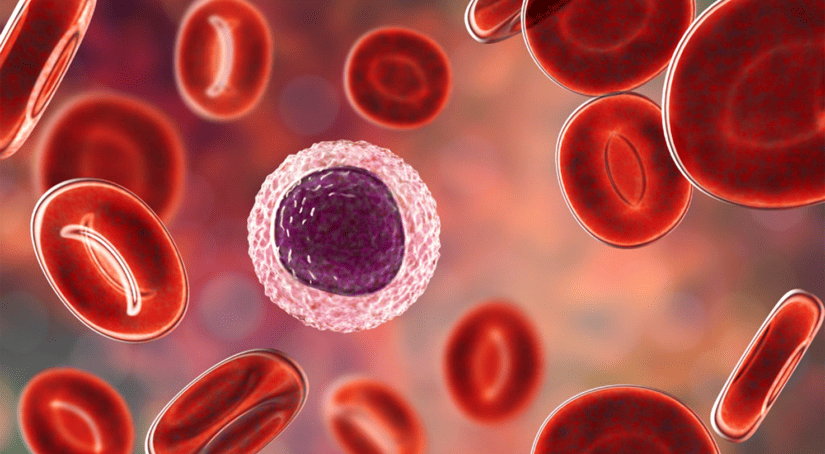 Exploring The Relationship Between Blood And Cancer