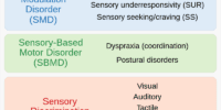 Sensory System Processing Disorders And Perception