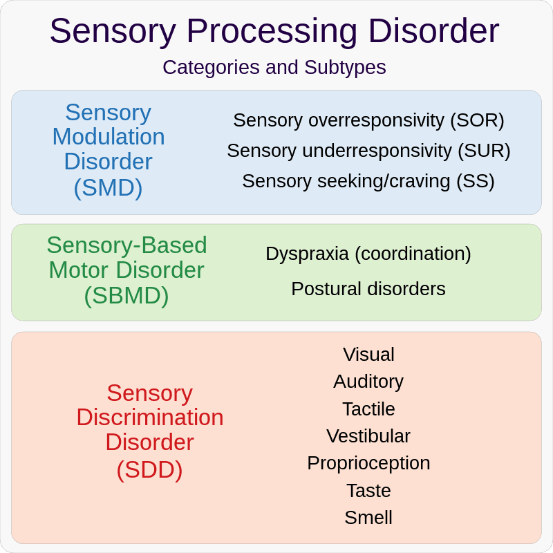 Sensory System Processing Disorders And Perception