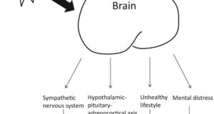 The Impact Of Stress On Blood Pressure: Managing The Connection