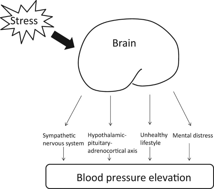 The Impact Of Stress On Blood Pressure: Managing The Connection