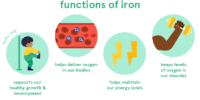 The Role Of Iron In The Blood: Essential Nutrient For Health