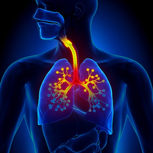 Top Respiratory Disorders And Diseases