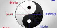 Understanding Yin And Yang In Chinese Medicine