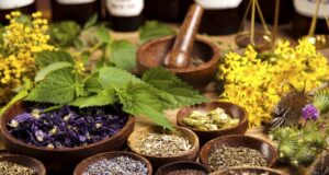 Homeopathy Considered Individualized Medicine