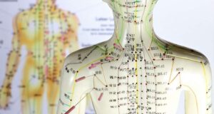 Meridians And Acupuncture Points