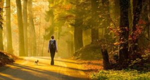 Benefits of Walking Meditation