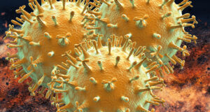 Type A, B, and C Influenza Viruses