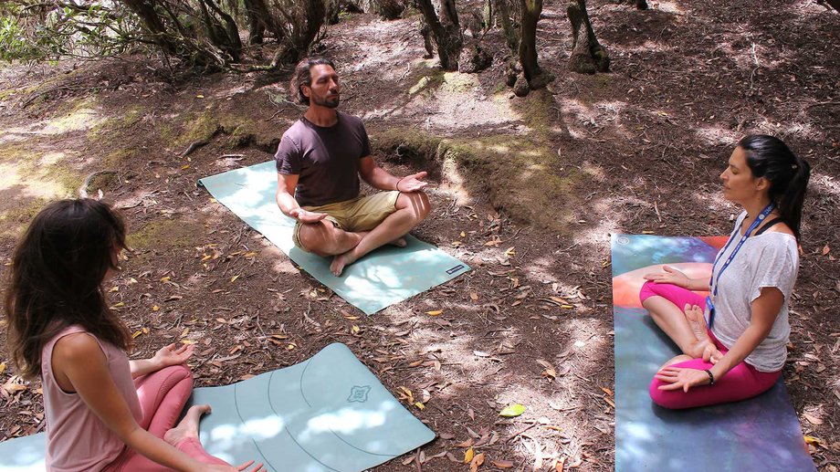 Forest Bathing Meditation