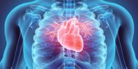 Beta Blockers In Cardiovascular Health