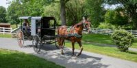 Medicaid Expansion Crucial for Amish Communities