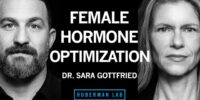 how to optimize female hormone health for vitality longevity