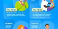 unveiling the truth debunking cold and flu myths