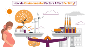 environmental factors and infertility impact on reproductive health